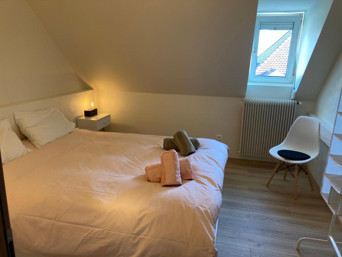 Les Moulins Tres Agreable Et Idealement Situe Apartment Colmar Luaran gambar