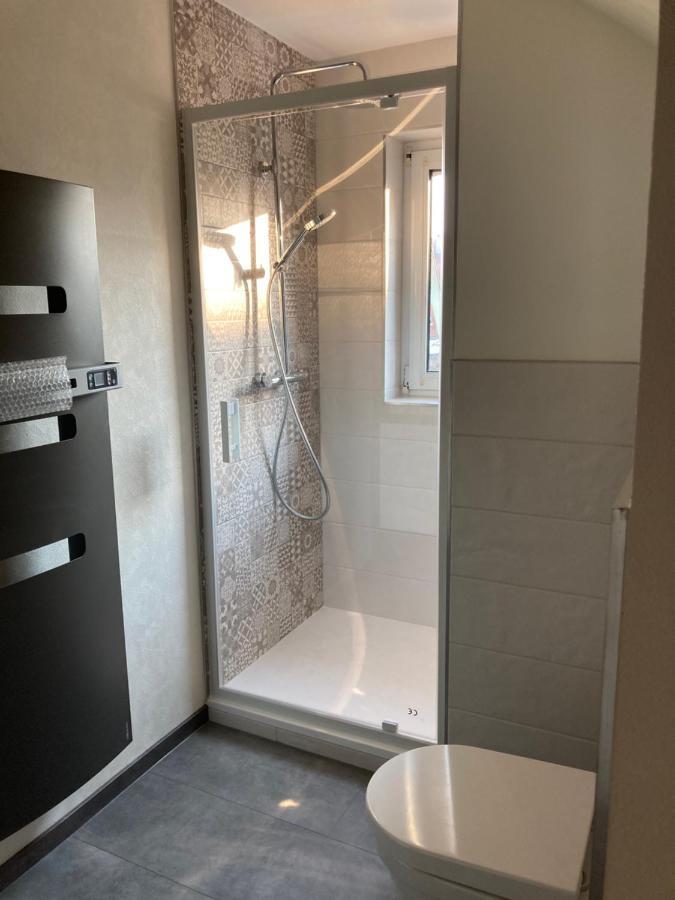 Les Moulins Tres Agreable Et Idealement Situe Apartment Colmar Luaran gambar