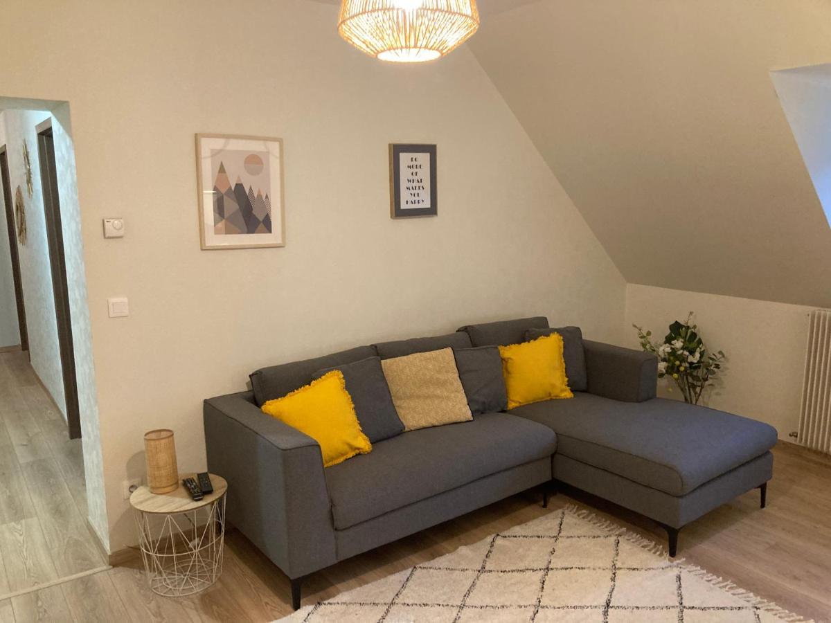 Les Moulins Tres Agreable Et Idealement Situe Apartment Colmar Luaran gambar